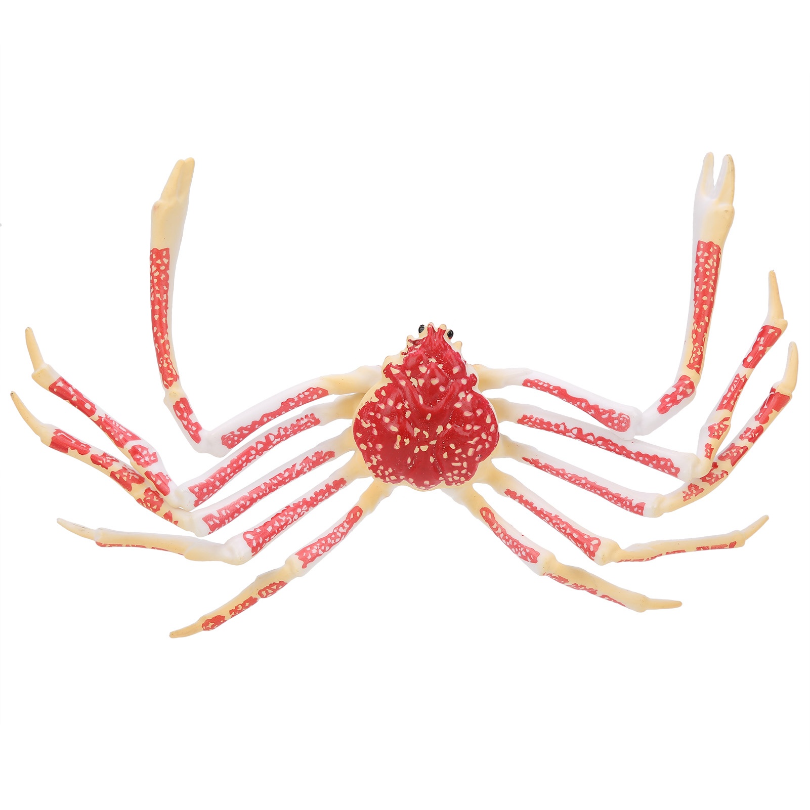 Symulowany model kraba, dekora – Kids Toys Home recenzja i cena